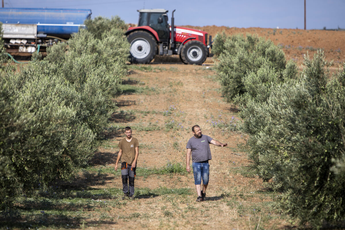 Produkcia agrosektora Európskej únie vlani klesla o 1,5 %